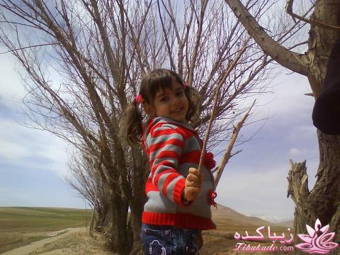 مسابقه عکاسی زیباکده ای مورد حمایت فروشگاه پانوراما**ویژه دریافت عکس**